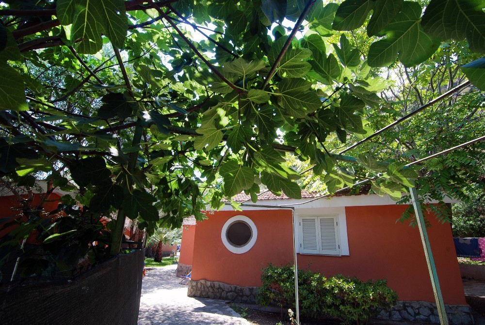Villino monolocale 4 posti