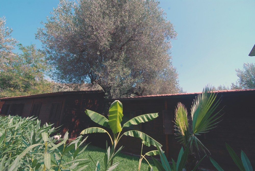 Chalet monolocale